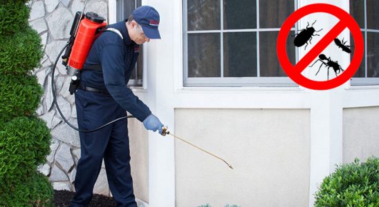 Mucur Akrep İlaçlama böcek ilaçlama ve haşere kontrolü — ilaclama-tr.com